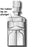 Norm-Ject - General Purpose Syringe 50 mL Individual Pack Luer Lock Tip Without Safety - AL50