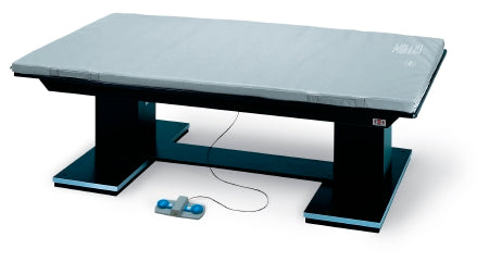 Hausmann Industries Series 1449 Dual Lift Powermatic Mat Platform 6 L X 4 W Foot 19 - 28 Inch Laminate / Aluminum - 1449-46
