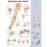 Anatomical Chart Company Anatomical Chart Shoulder and Elbow 20 X 26 Inch Styrene Plastic Grommets Laminated - 9781587796852