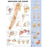 Anatomical Chart Company - Anatomical Chart Shoulder and Elbow 20 X 26 Inch Styrene Plastic Grommets Laminated - 9781587796852