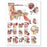 Anatomical Chart Company - Anatomical Chart Middle Ear Conditions 20 X 26 Inch Heavy Paper Grommets Laminated - 9781605470962