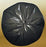 Saalfeld Redistribution Noramco Trash Bag Super Heavy Duty 60 gal. Black Reprocessed Resin 1.20 Mil. 38 X 58 Inch Twist Tie Coreless Roll - X7658SKR01