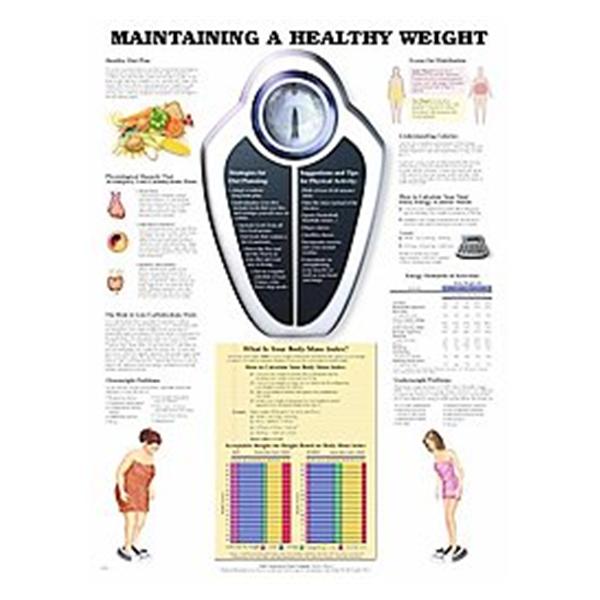 Wolters Kluwer Health Inc Chart Educational Maintaining A Healthy Weight 20X26" Ea - 9781587794100