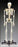 Budget Bart - Human Skeleton - CH95