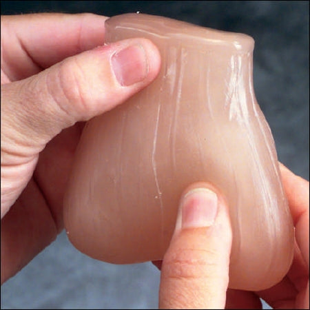 Anatomical Chart Company Testicular Self Examination Model - A26400