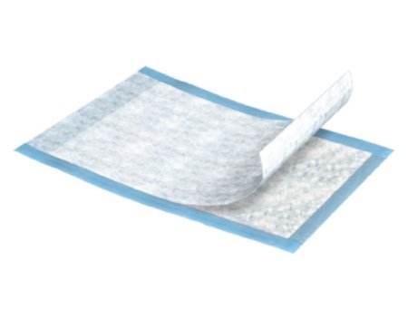 Essity HMS North America Inc TENA Regular Underpad 23 X 36 Inch Disposable Fluff Light Absorbency - 352