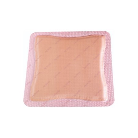 Allevyn Ag Gentle Border - Silver Foam Dressing 5 X 5 Inch Square Sterile - 66800453