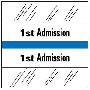 Tabbies  Admission Index Tabs & Chart Divider Sheets- 1-1/2"H x 1-1/2"W, 100 per Pack