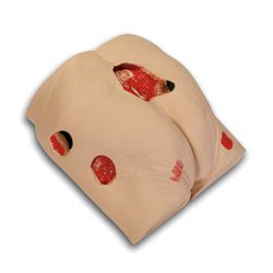 Nasco Seymour II Wound Care Model - SB46502