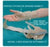 Patterson Medical Supply Wrist Support Left Hand Small - A619013