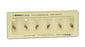 EDM 3 - Diagnostic Lamp Bulb 3.5 Volt 2.73 Watts - 1-650