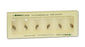 Healthlink Replacement Lamp 3.5 Volts 2.73 Watts - 1-650