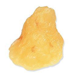 Anatomical Chart Company Life/Form 1-lb. Body Fat Replica Model Vinyl Plastic - WA7173