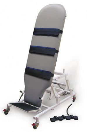 Hausmann Industries Wheelchair Accessible Hi-Lo Tilt Table - 6058