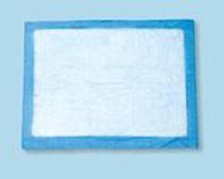 Tidi - Procedure Underpad 22 W X 24 L Inch Blue NonSterile - 16661