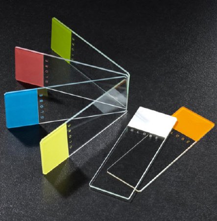 Globe Scientific Color Coded Beveled Edges with Clipped Corners Microscope Slide 25 X 75 X 1 mm Frosted End - 1334W