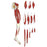 Nasco Healthcare - Leg Muscle Model - LA00131
