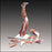 Anatomical Chart Company - Muscles of the Leg Model - M20