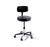 Ritter 275 Classic Series - Physician Stool Backrest Manual Height Adjustment 5 Casters Shadow - 275-001-232