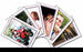 Alimed Awareness and Safety Cognition Photo Cards - 82765
