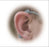 Westmed Earmate Cannula Cushion - 440