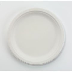 Chinet - Plate White Single Use Paper 10-1/2 Inch Diameter - HUH21217