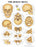 Anatomical Chart Company Anatomical Chart Human Skull 20 X 26 Inch Heavy Paper Grommets Laminated - 9781587791673