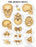 Anatomical Chart Company - Anatomical Chart Human Skull 20 X 26 Inch Heavy Paper Grommets Laminated - 9781587791673