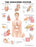 Anatomical Chart Company - Anatomical Chart Endocrine System 20 X 26 Inch Heavy Paper Laminated - 9781587790157
