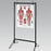 Anatomical Chart Company Portable Chart Stand - 9880