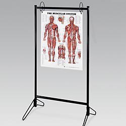 Anatomical Chart Company - Portable Chart Stand - 9880