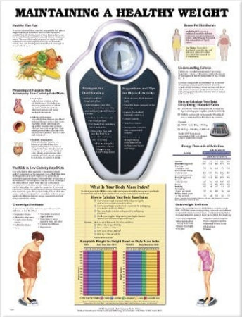 Anatomical Chart Company Anatomical Chart Maintaining a Healthy Weight 20 X 26 Inch Heavy Paper Grommets Laminated - 9781587794100