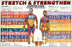 Anatomical Chart Company Chart Stretch and Strengthen 23 X 35 Inch Heavy Paper Laminated - 5009-L