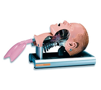 Ambu Ambu Airway Management Trainer - 186002000