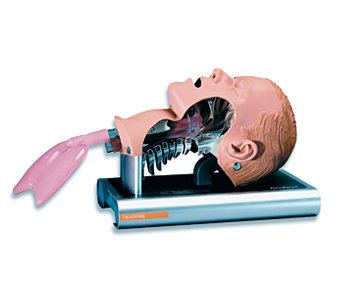 Ambu - Airway Management Trainer - 186002000