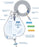 Urocare Products Urocare Urinary Leg Bag Anti-Reflux Valve 2000 mL Vinyl - 420020