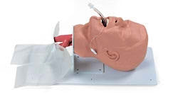 Nasco Airway Management Trainer with Board Male Adult - 101-500