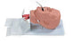 Nasco Airway Management Trainer with Board Male Adult - 101-500