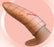 PolyMem Silver - Silver Foam Dressing 2-1/5 to 2-3/5 Inch Circumference Finger / Toe Sterile - 1402