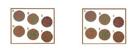 Stereo Optical Company Color Perception Test Slide - 2000019