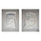 Baxter Healthcare Safety-Lok Blood Collection Set 41" 48/Ca - 1C8624