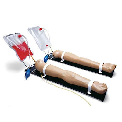 Nasco Venous Training Arm - SB32870B