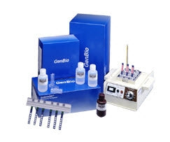 ImmunoDOT - Test Kit Autoimmunity Panel 1 Connective Tissue Disease / Lupus Whole Blood / Serum Sample 100 Tests - 800-5189