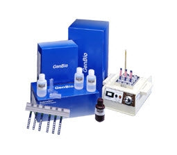 Genbio ImmunoDOT Method Assay Control Autoimmunity Positive Level - 800-3918