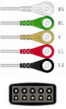Sage Services Group Sage Services ECG Leadset 5 Lead, Snap, Shielded, 0.9m - L02-05-29S