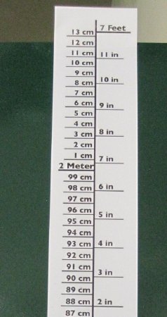 Pedia Pals Pedia Pals Height Chart 7 Foot Height Laminated - 100104