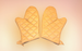 Healthmark lnsulated Gauntlet - Pair