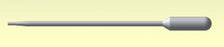 Transfer Pipette