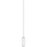 Transfer Pipette