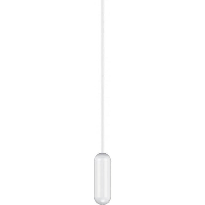 Transfer Pipette